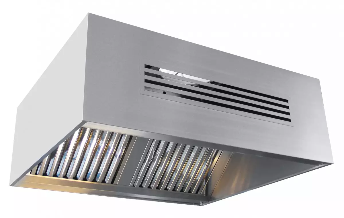 Зонт приточно-вытяжной ЗПВ-1100-2-О Abat 21001801170