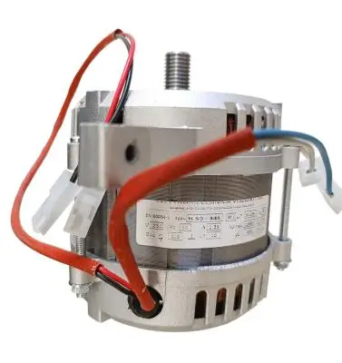 Двигатель 00000000345 слайсера серии LUSSO модели LUSSO 275S